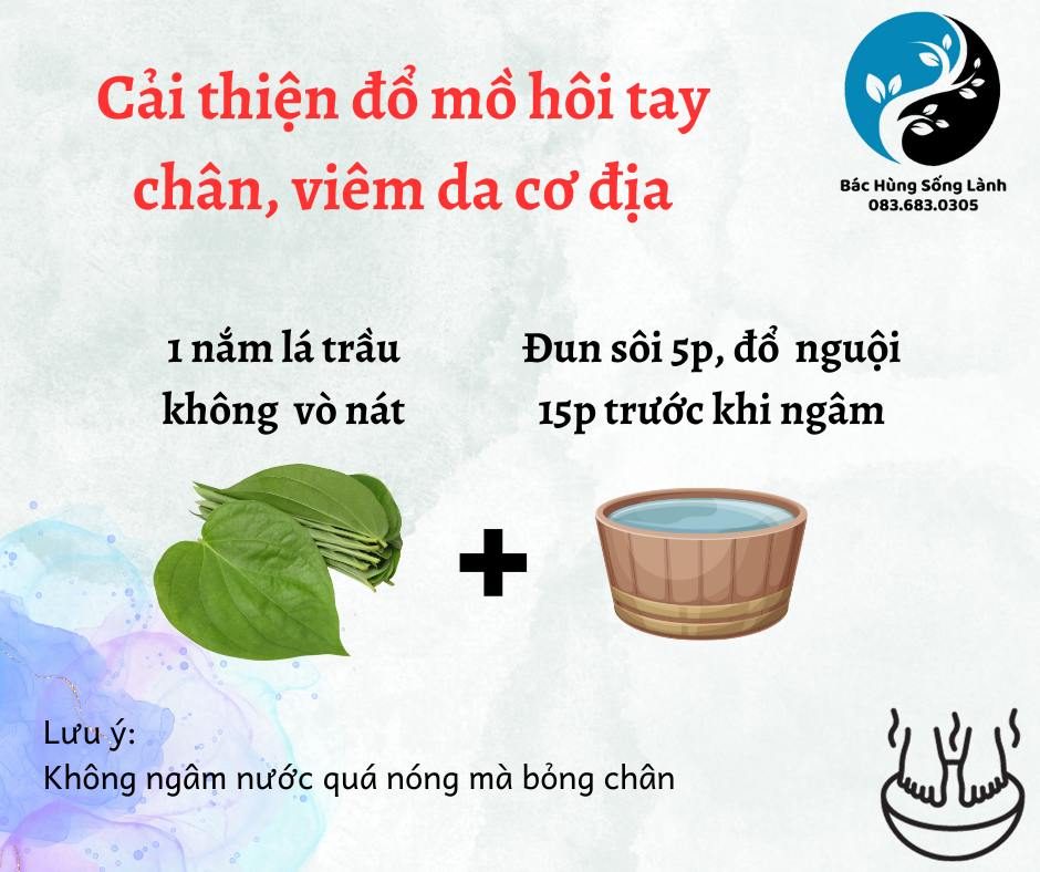 bài thuốc ngâm chân với lá trầu không

