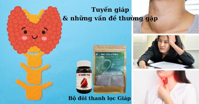 tuyến giáp và những vấn đề thường gặp