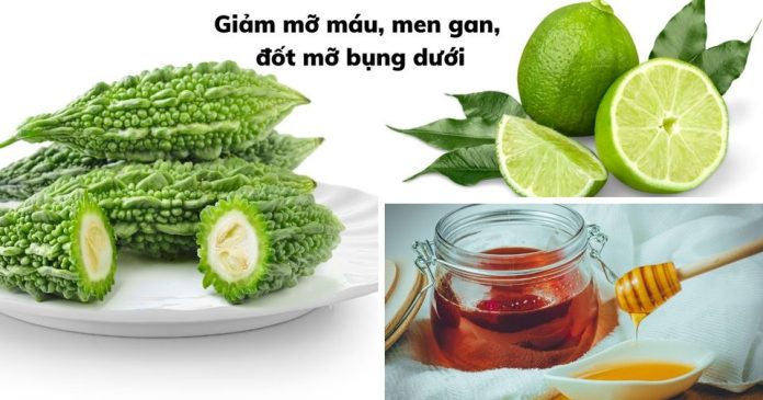 mỡ máu