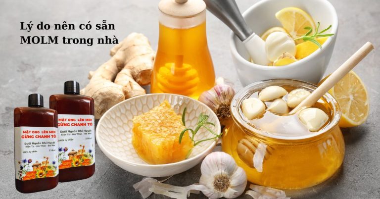 Lý do nên có sẵn Mật ong lên men (MOLM) gừng chanh tỏi trong nhà