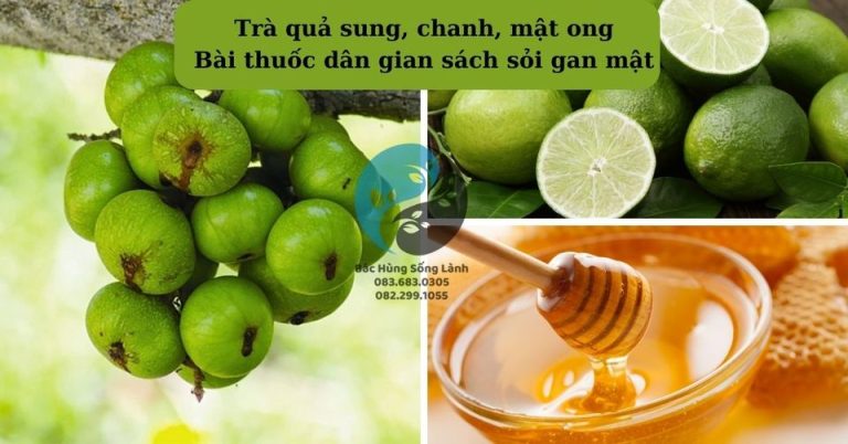 Bài thuốc dân gian ích gan, lợi mật