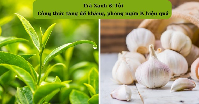 Bài thuốc Nam tăng đề kháng, đào thải tế bào lạ