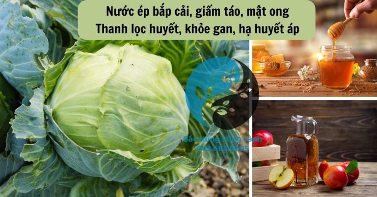 Thanh lọc huyết, khỏe gan, hạ huyết áp