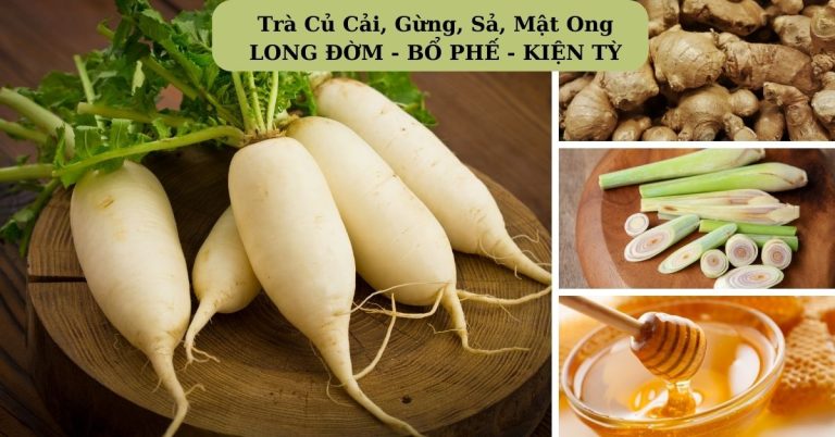 LONG ĐỜM – BỔ PHẾ – KIỆN TỲ