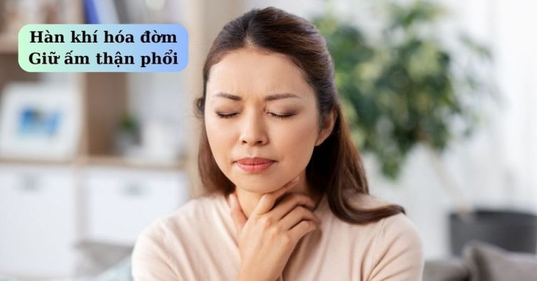 Hàn khí hoá đờm,giữ ấm thận phổiHàn khí hoá đờm