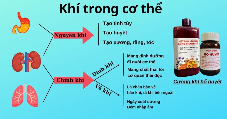 Khí trong cơ thể.