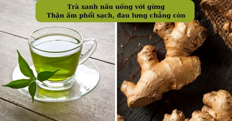 Thận ấm phổi sạch, đau lưng chẳng còn