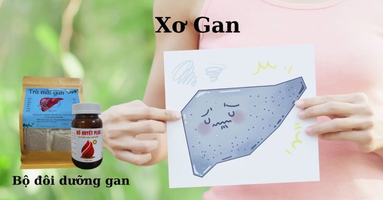 Xơ gan, gan sao lại có xơ?