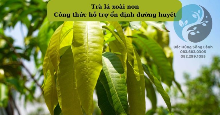 Bài thuốc dân gian hỗ trợ ổn định đường huyết