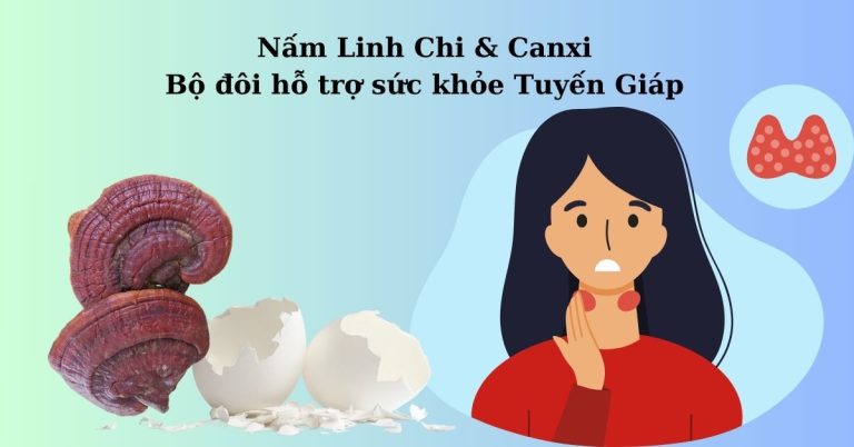 Nấm Linh Chi & Canxi, bộ đôi hỗ trợ sức khỏe Tuyến Giáp