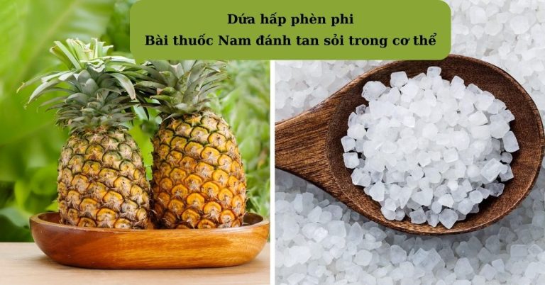 Bài thuốc Nam đánh tan sỏi cặn