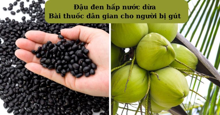 Bài thuốc Nam cho người bệnh Gout