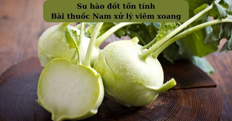 Bài thuốc Nam xử lý viêm xoang