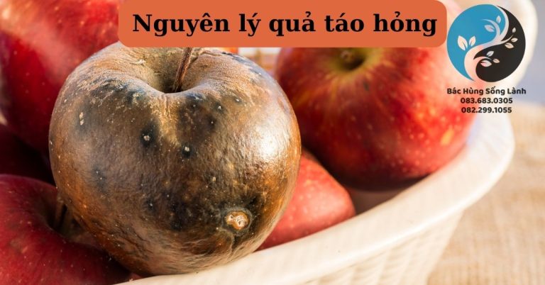 Nguyên lý quả táo hỏng.