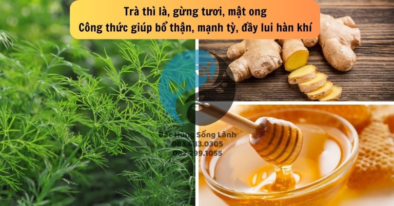 Công thức giúp bổ thận, mạnh tỳ, đầy lui hàn khí