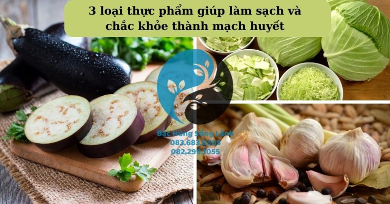 Hỗ trợ làm sạch và khỏe mạch huyết