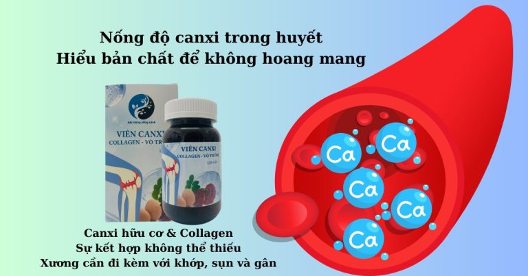 Nồng độ canxi trong huyết – Hiểu bản chất để không hoang mang