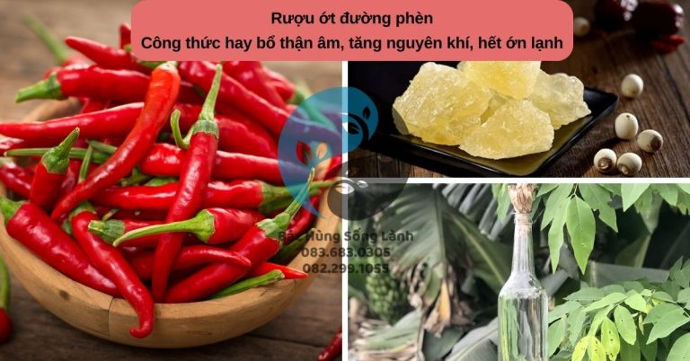 Công thức hay bổ thận âm, tăng nguyên khí, hết ớn lạnh