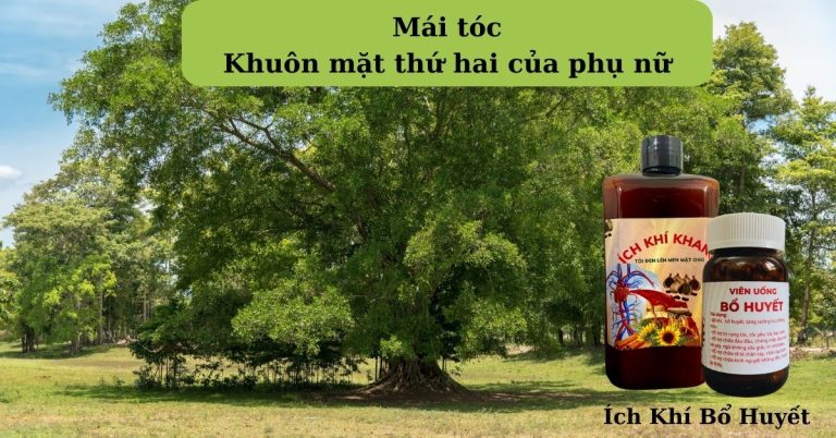 Mái tóc – Khuôn mặt thứ hai của phụ nữ