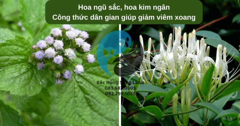 Công thức dân gian giúp giảm viêm xoang