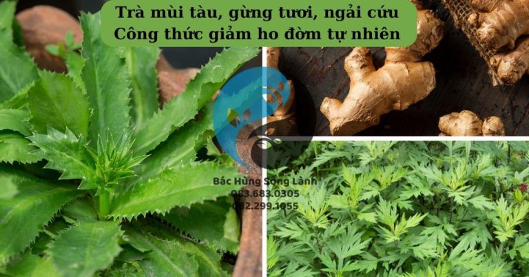 Công thức giảm ho đờm tự nhiên từ ngải cứu, gừng tươi, mùi tàu