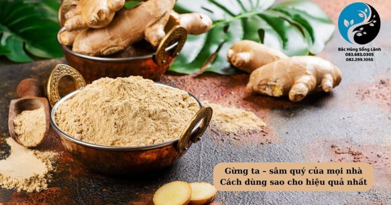 Gừng ta – sâm quý của mọi nhà