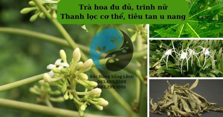 Thanh lọc cơ thể, tiêu tan u nang