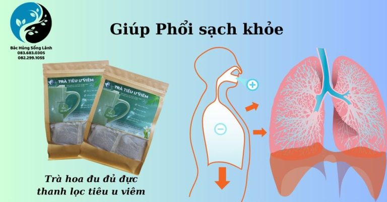 Trời chuyển nóng, mang quạt ra dùng, mấy tháng lạnh có dùng gì tới đâu mà quạt bám đầy bụi bặm. Giật mình, chợ nghĩ tới 2 lá phổi trong lồng ngực.