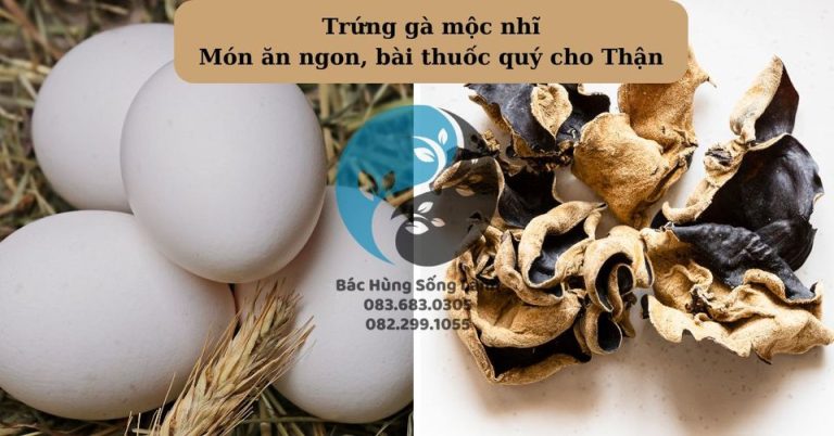 Trứng gà mộc nhĩ, món ăn ngon, bài thuốc quý cho Thận