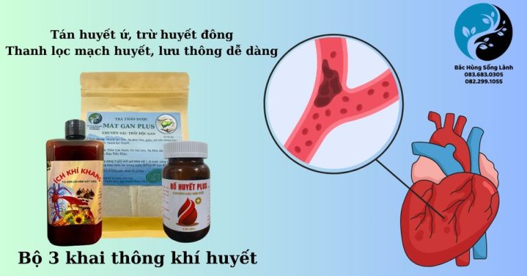 Tán huyết ứ, trừ huyết đông, thanh lọc mạch huyết, lưu thông dễ dàng