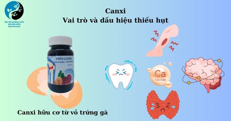 Canxi – Vai trò và dấu hiệu cần bổ sung