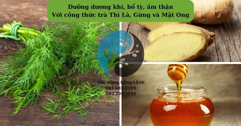 Dưỡng dương khí, bổ tỳ, ấm thận với công thức trà Thì Là, Gừng và Mật Ong