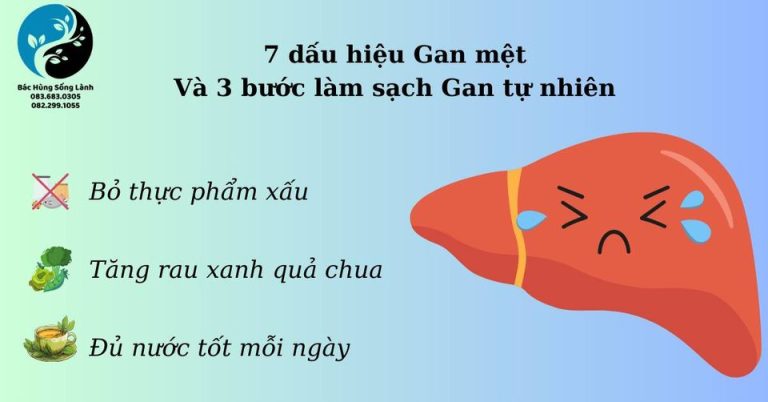 7 dấu hiệu Gan mệt và 3 bước làm sạch Gan tự nhiên