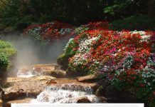 Chia sẻ của chị sau 1 tháng dùng Ích Khí Khang.