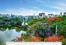 Chia sẻ của chị sau khi cho con dùng Mật ong lên men 7 ngày.