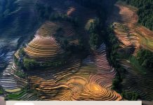 Chia sẻ của chị sau 1 tháng dùng Trà Mát Gan Plus.