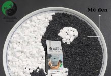 Sắn dây mè đen – cân bằng âm dương Âm dương cân bằng